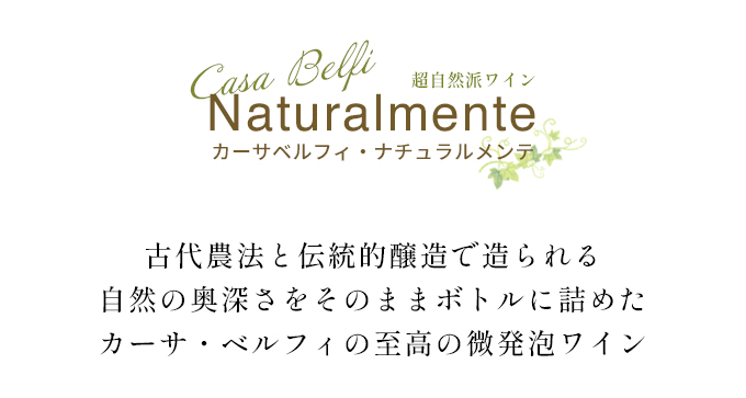 カーサベルフィタイトル