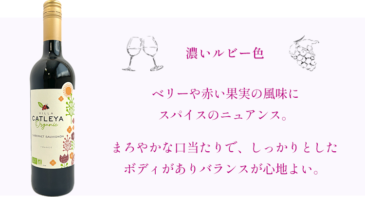 カトレア味・香