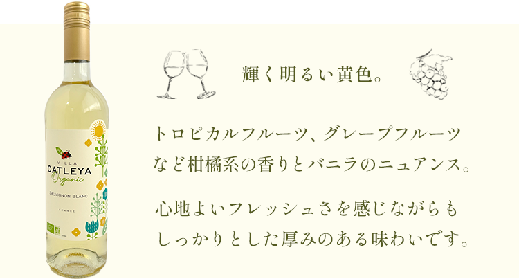 カトレア味・香