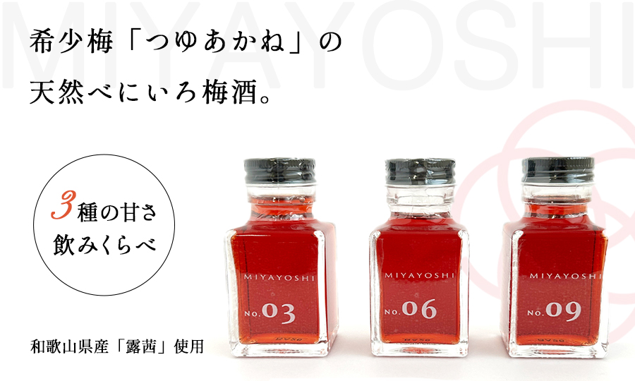 今月の特集